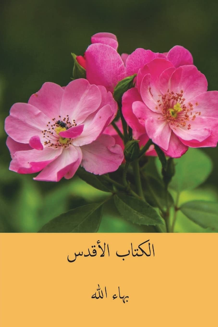 Kitab-i-Aqdas ( Arabic Edition )
