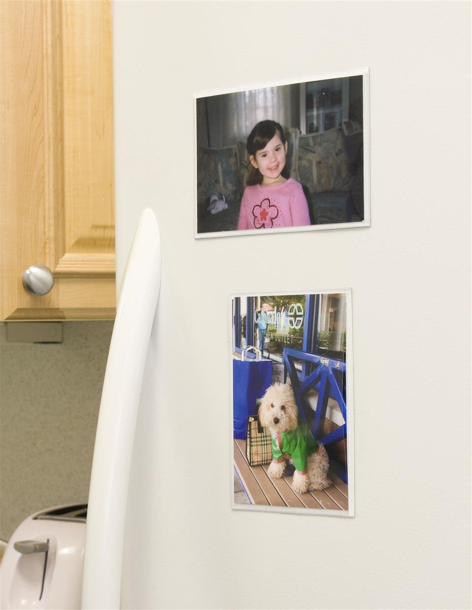 Displays2go Full Back Magnetic Photo Frame Pockets for 4x6 Pictures Refrigerator or File Cabinet, Set of 48