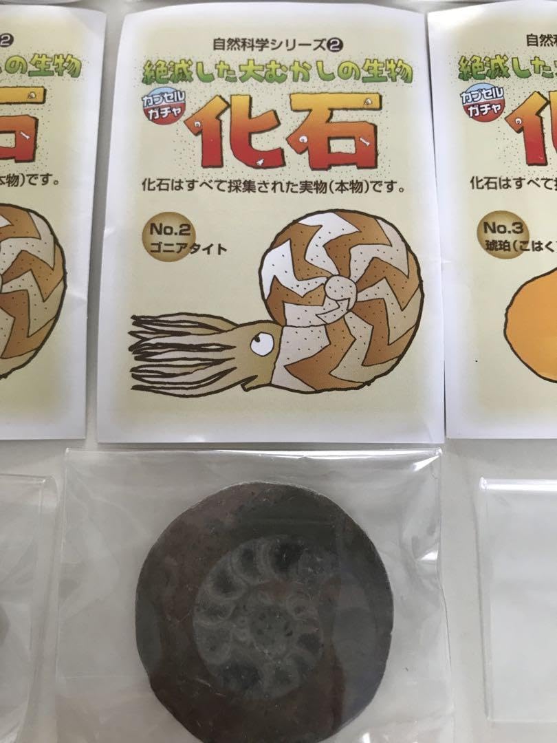 Amazon.co.jp: 絶滅した大むかしの生物 カプセル ガチャ 化石