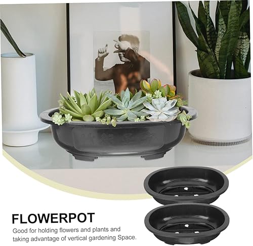 Miniatura 9 de FUNOMOCYA 2 macetas ovaladas de plástico, macetas transpirables para suculentas, cactus, bonsáis, plantas de interior, maceta reutilizable, macetas
