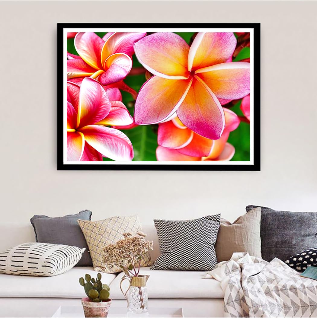 Amazon.com: Diamond art Painting Hawaiian Frangipani Hawaii