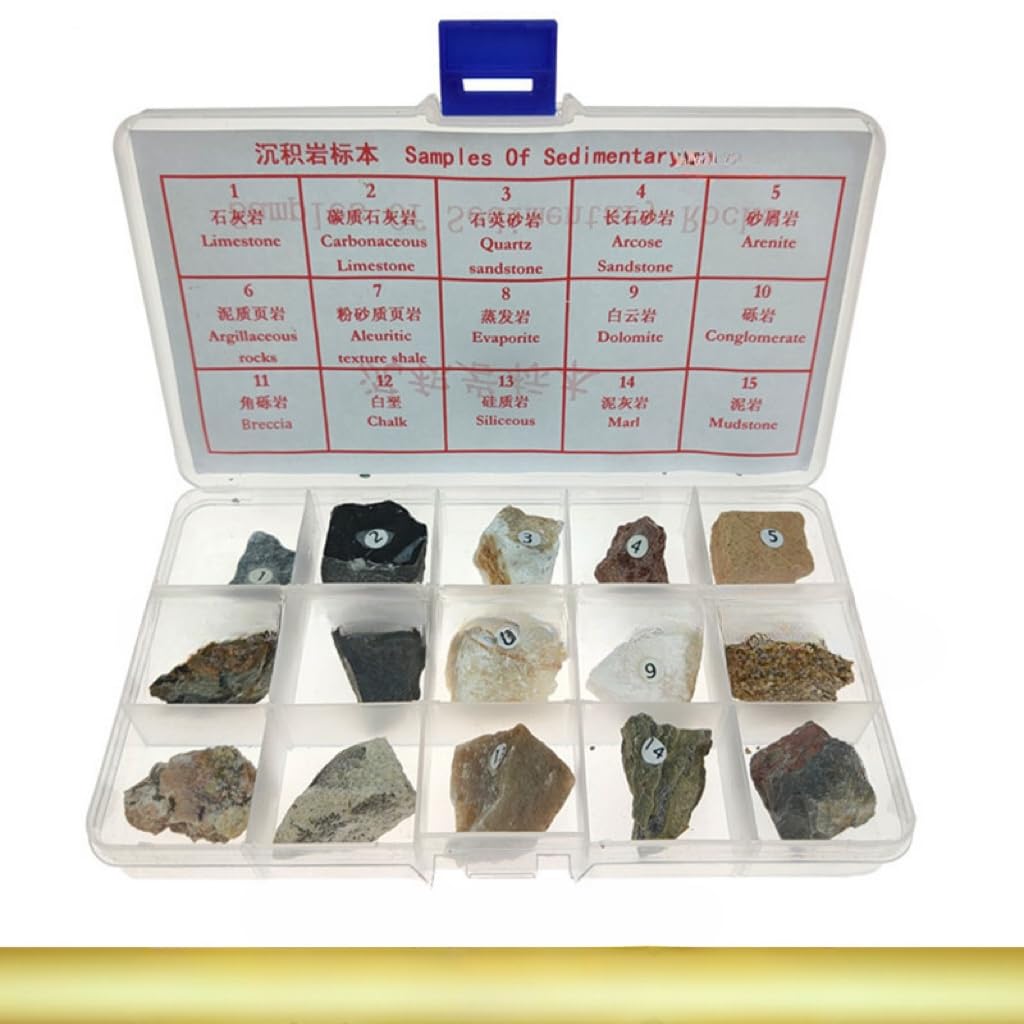 misppro Sedimentgestein Exemplar Rock Collection Echter Stein Lehrmittel ab 8 Jahren