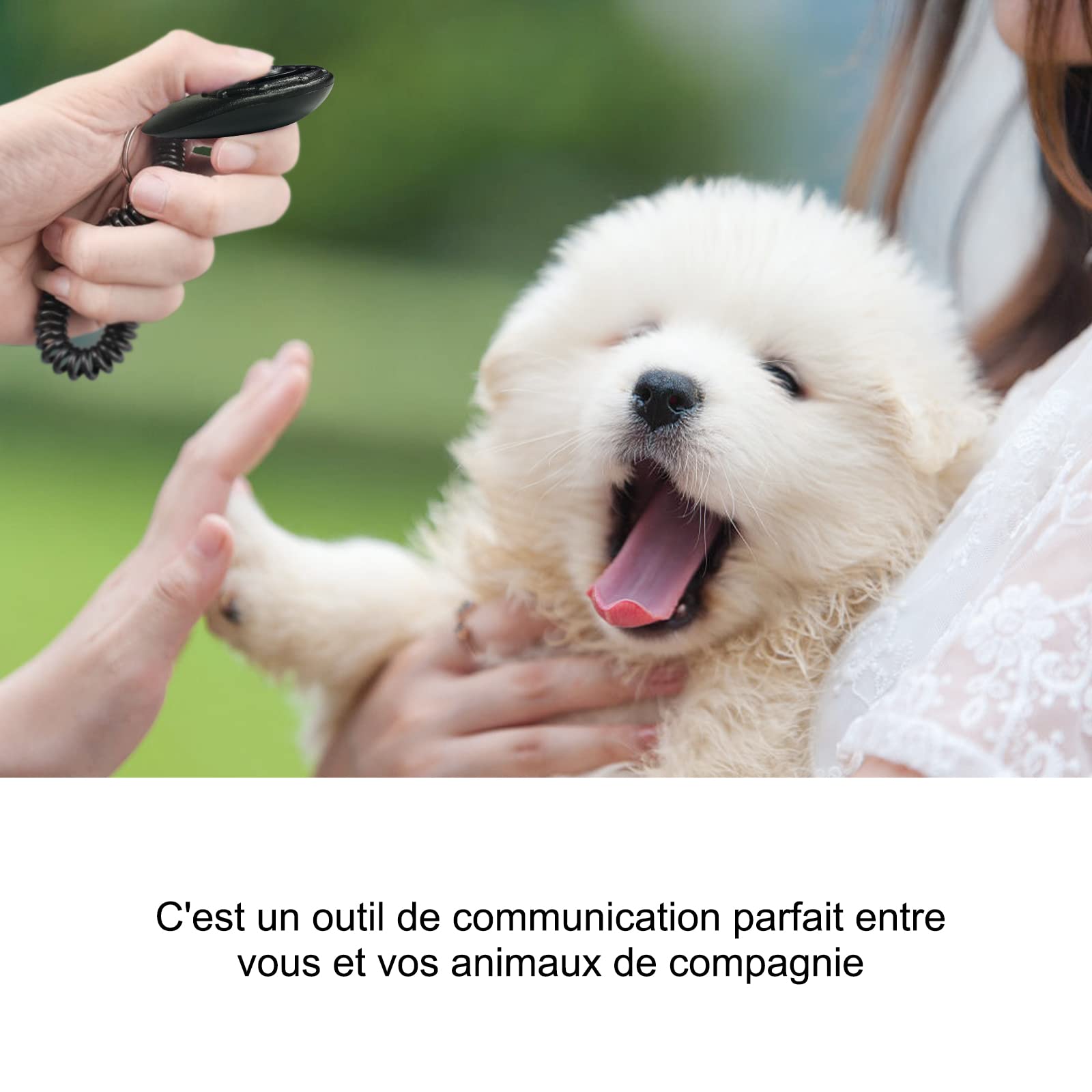 Diyife Lot de 2 Clickers pour Chien, Clickers de Chien avec Dragonne élastique et Grand Bouton, Clicker Training, Professionnel Clicker Chien Dressage pour Chat, Chien, Cheval, Noir et Cyan
