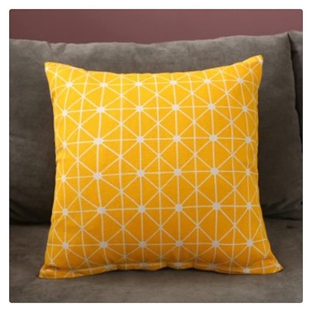 Coussin de salon style nordique idéal pour canapé et voiture