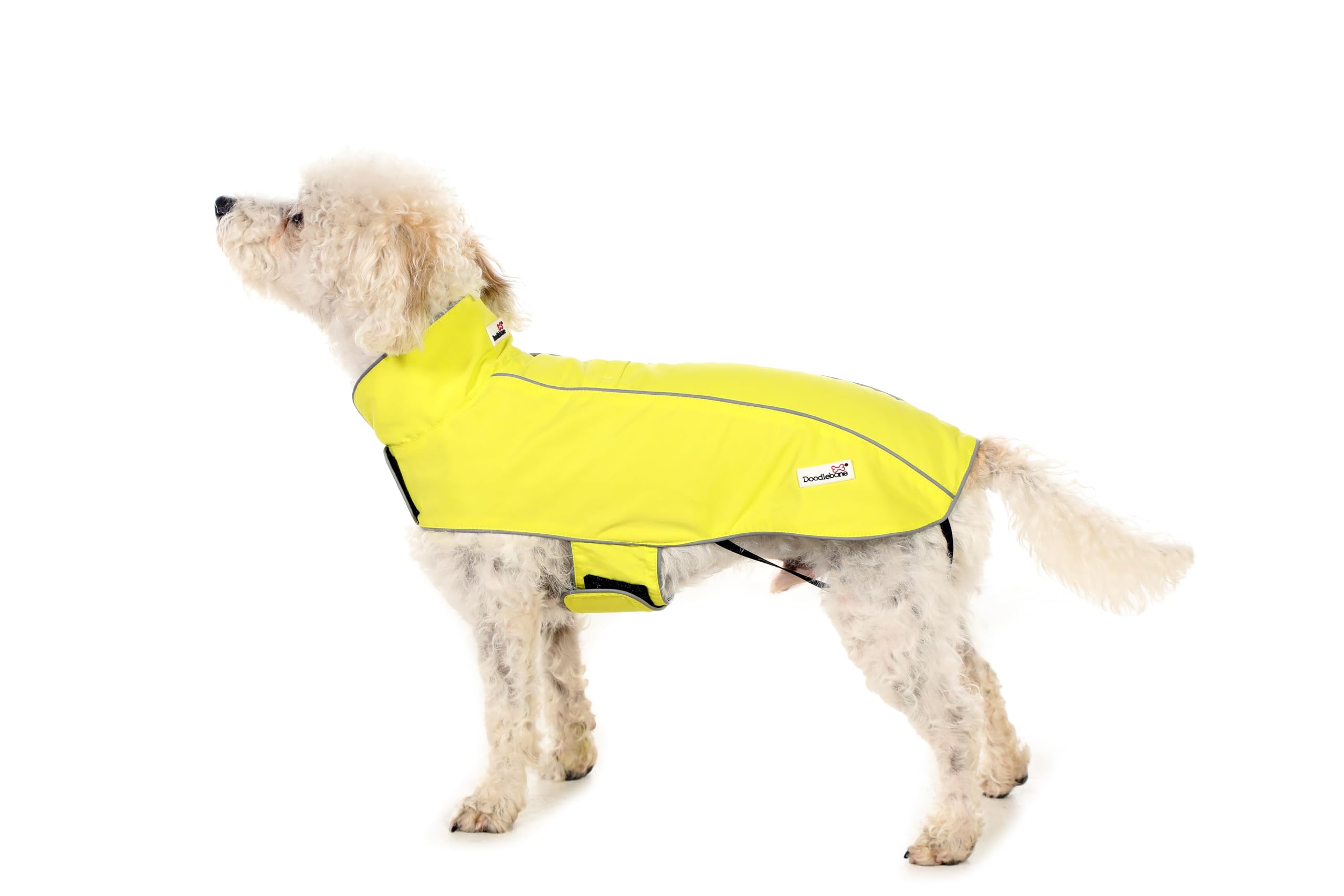 Dog Mac dans un paquet imperméable pour chien Doodlebone Citrus taille 2-3