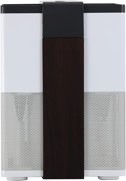 Jese air purifier Clearance