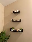 Review Image by Ritesh Ritesh