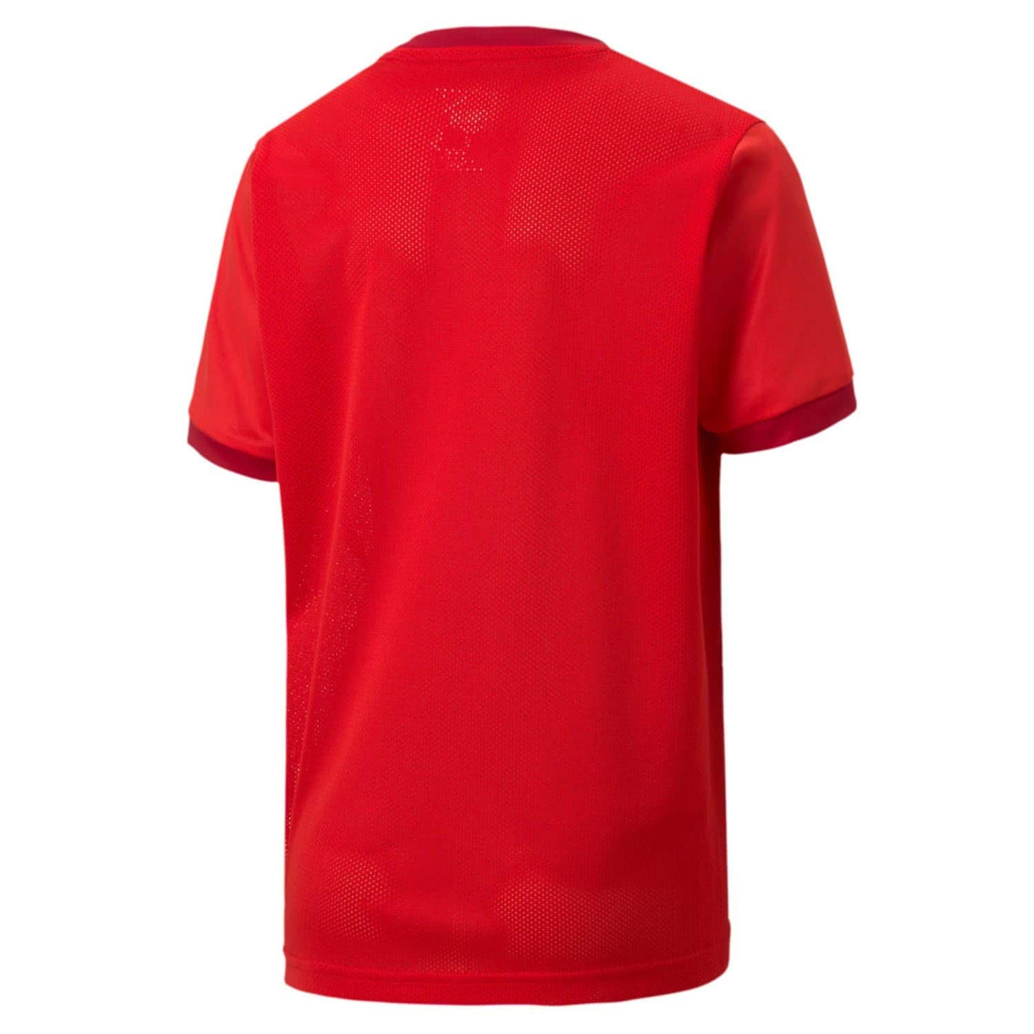 PUMA TeamGOAL 23 T-shirt Chłopcy, Czerwony, 164