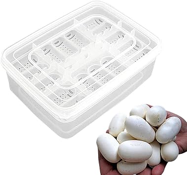 Reptile Egg Hatching Box - Transparent Incubator Box, 16 Grid Hatching Case | Hatching Tray, Reptile Egg Breeding Ground, Gecko, Lizard, Lion Mane Lizard, Easy Egg Mane, Reptile Breeding Hatcher