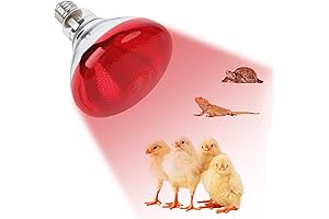 Incandescent 250W Red Heat Lamp for Baby Chicks