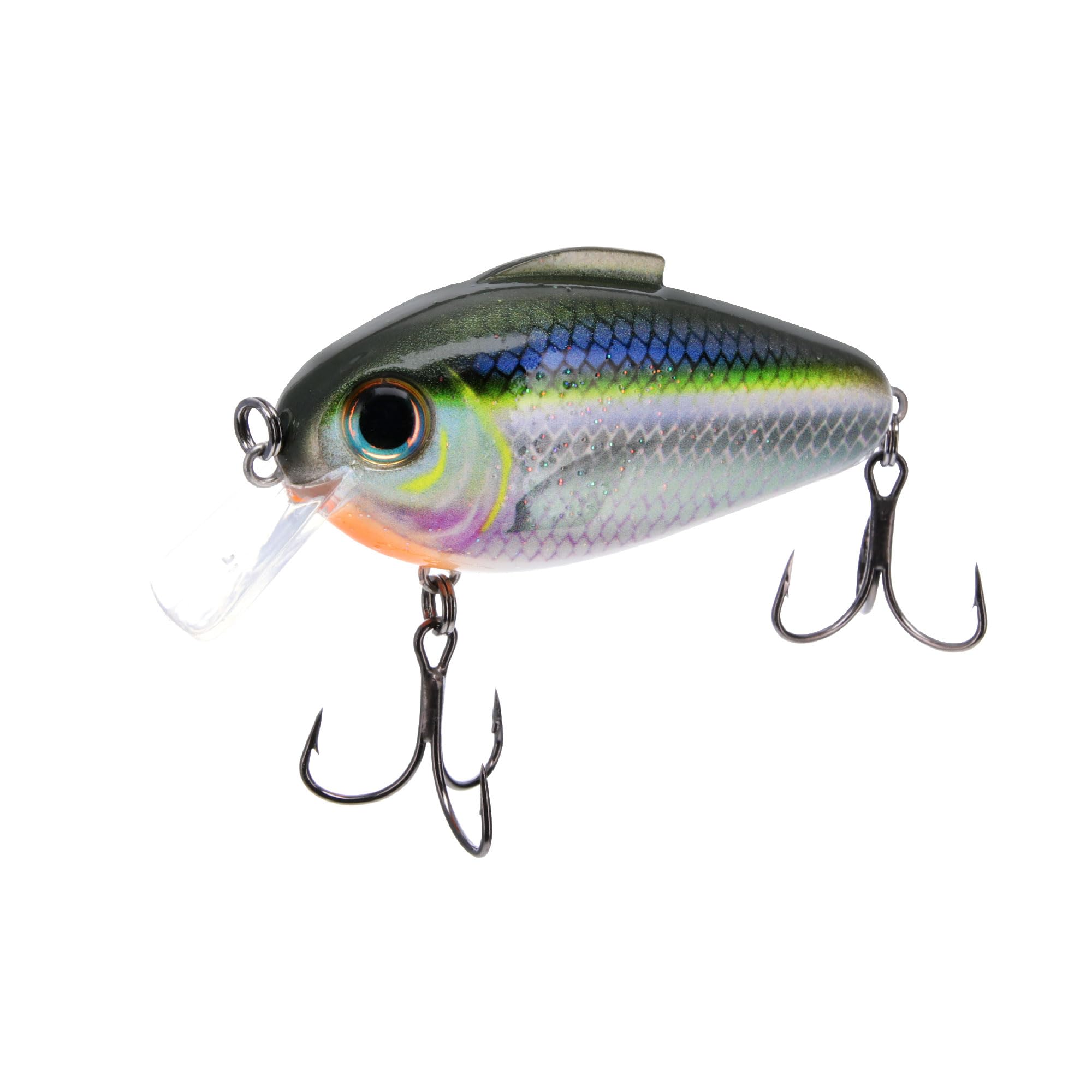 echo tail fishing lure TB Tbuymax Spinner Baits for Freshwater and Saltwater, 10pcs Rooster Fishing Lures & Spinning Spoons, Hard Metal Baits for Bass Trout Salmon with 2 Tackle Boxes : Sports ECHO – CAST Fishing Co