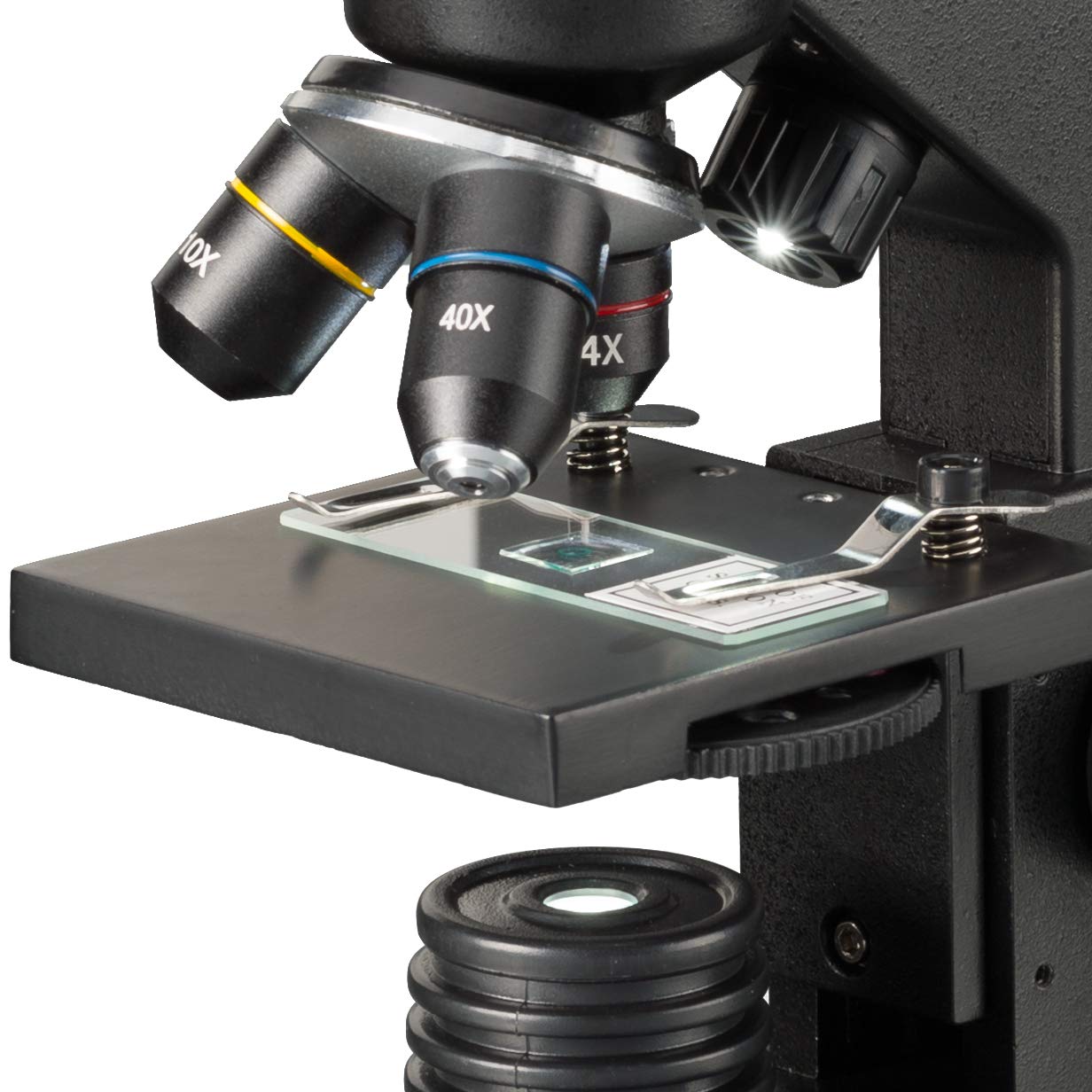 Bresser Microscopio National Geographic 40x-1280x con Soporte para Smartphone