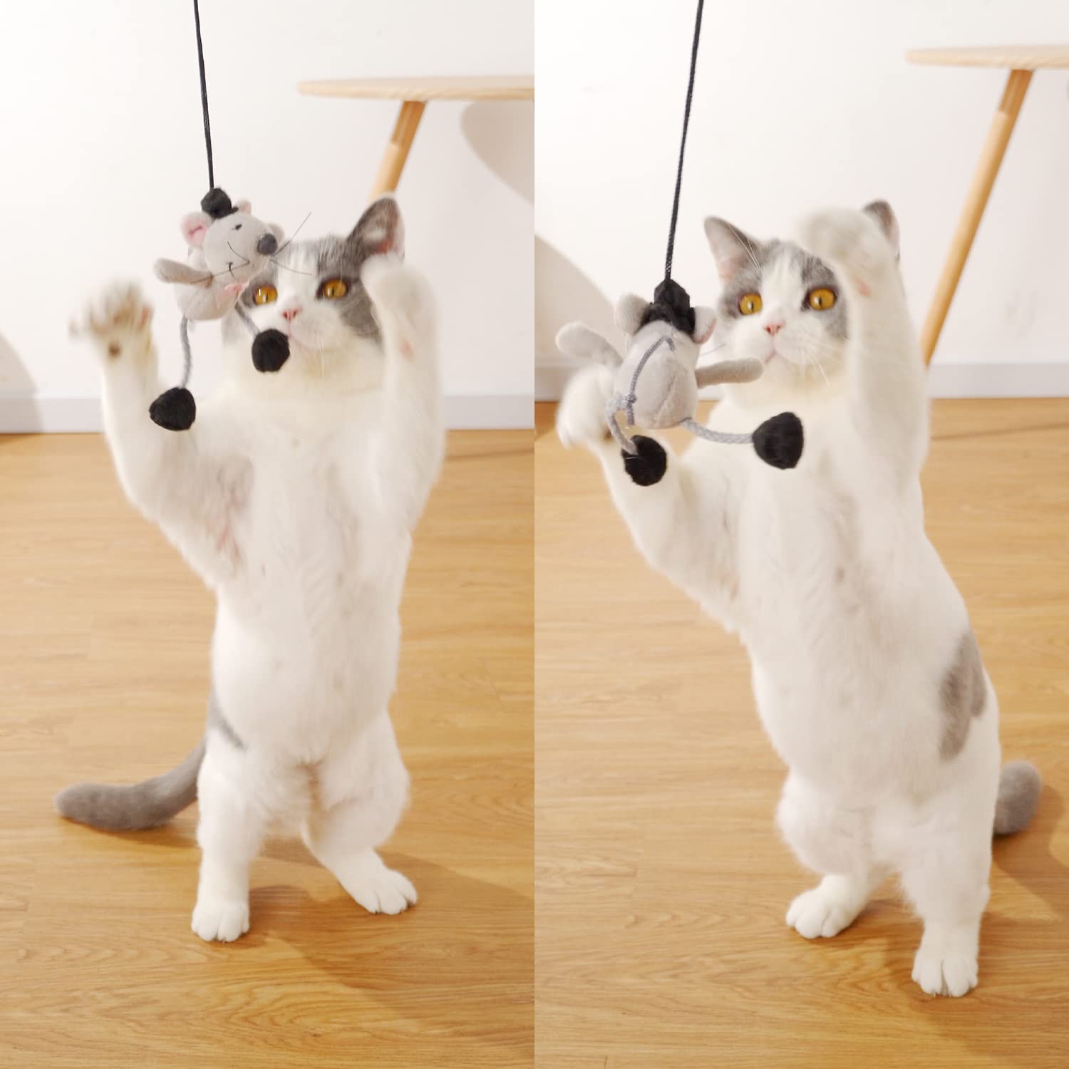 Varita de Juguete para Gatos, Juguete para Gatos, Juguete Interactivo para Interiores, balanceándose y chirriando Divertido Gatito Jugando Gato Varita Juguete Adecuado para interactuar con Gatos