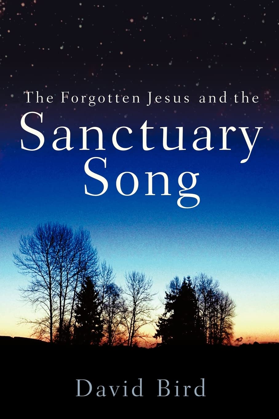 Buy The Forgotten Jesus And the Sanctuary Song — BookShops.in