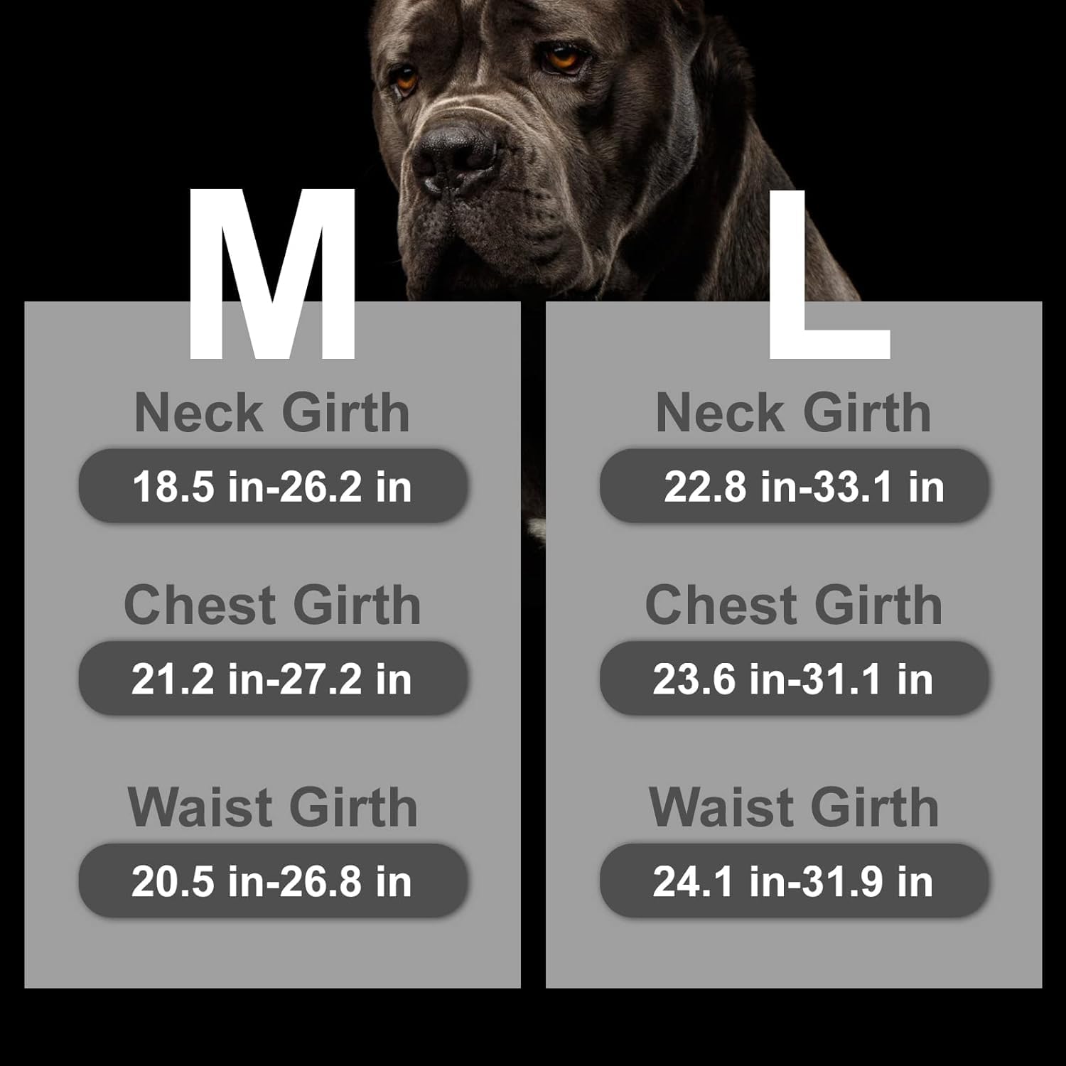 Mihachi Medium Black & Grey Dog Harness - No Pull Reflective Night Safety, Lift Handle Easy Control for Dogs - Image 2