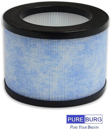 Miniatura 2 de PUREBURG Filtro de repuesto compatible con ToLife TZ-K1 Intelabe EP1080 y AROEVE MK01 MK06 Kloudi DH-JH01 POMORON MJ001H MJ012H y FreAire KN-6391RGB
