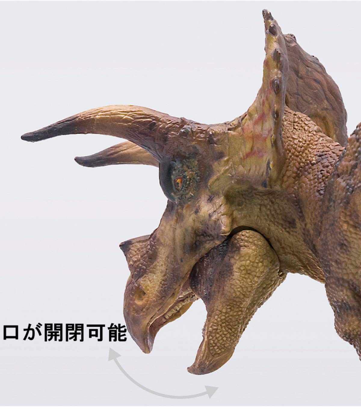 値下げです！【トリケラトプス】恐竜木彫り彫刻　全長35ｃｍ　送料無料！ トリケラトプス】 恐竜木彫り彫刻 全長35cm | ㈱田中ソウケン