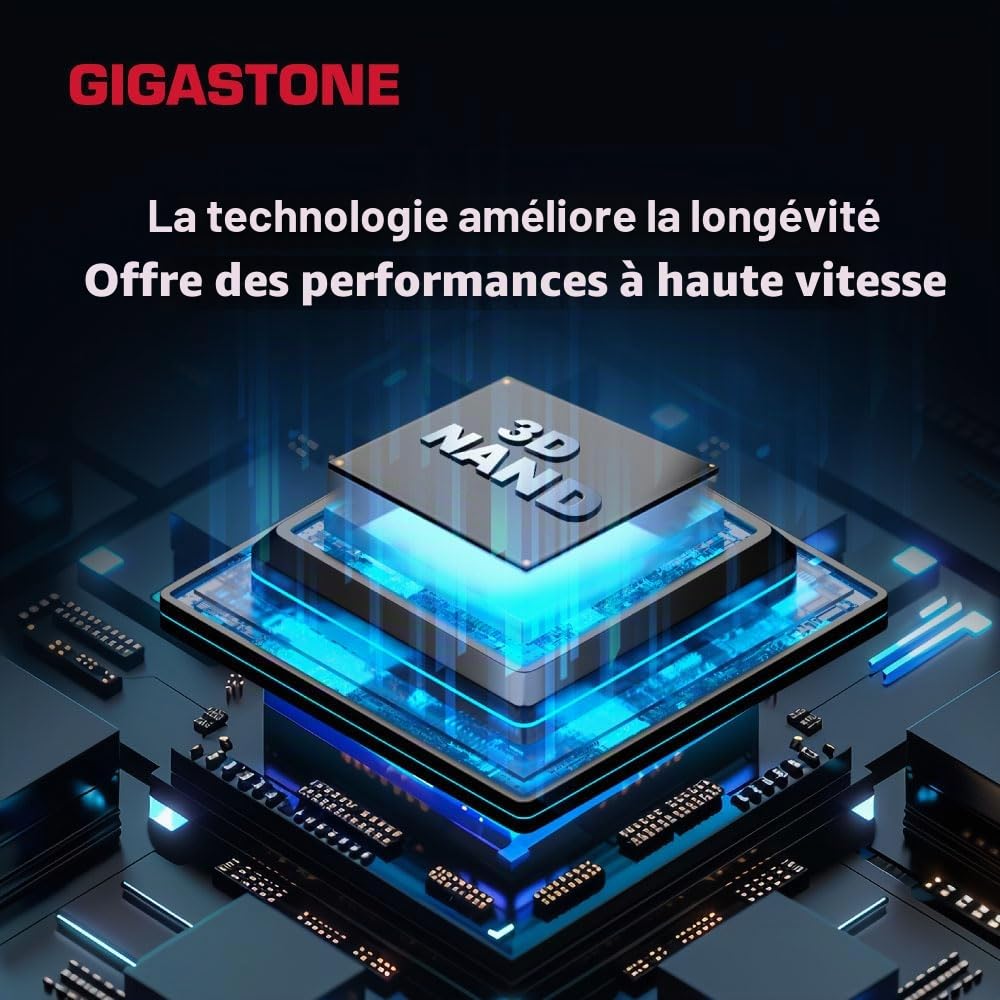 GIGASTONE Z80 Clé USB 3.2 Gen2 256 Go, R/W 1000/800 Mo/s HPC Calcul Haute Performance, Rétractable sans Capuchon Conception, Compatible avec Interface USB 2.0 / USB 3.0 / USB 3.1