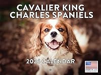 Vista 117 de Calendario de cachorro Golden Retriever 2027 mensual de pared de 12 meses