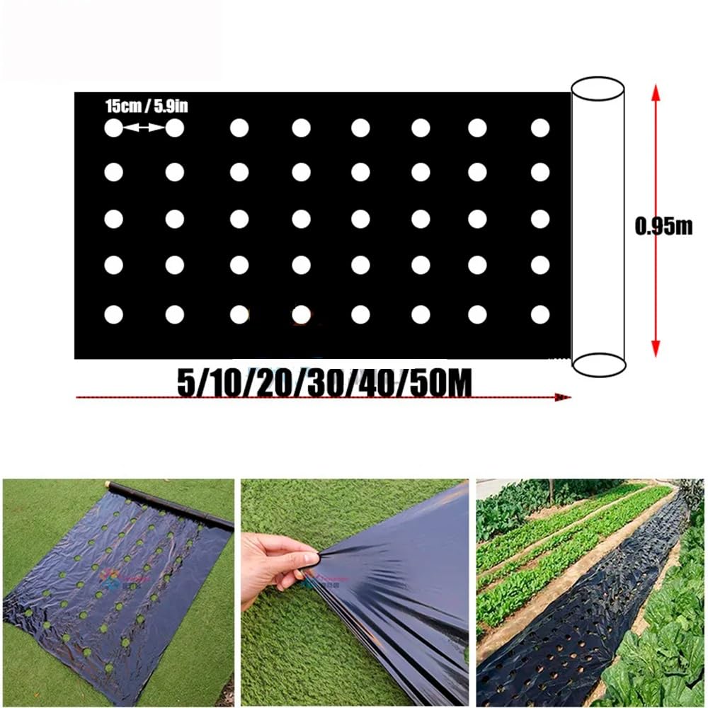 Film, Pacciame Perforato for Il Controllo delle Erbacce Agricoltura Film Allevamento Pacciame Veg Patch for Pomodoro Fragola Crescita Punch Foro da 4,5 Cm (Size : 0.95x40m)