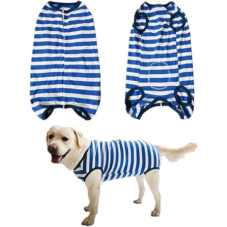 Amazon Kuveela Pet 大型犬 中型犬 服 術後服 術後ウェア 術後カバー服 犬用品 保護服 雄 雌兼用 避妊 離乳 傷口保護 皮膚病 通気 夏用 Xl スカイブルーボーダー Kuveela 術後ウェア 通販