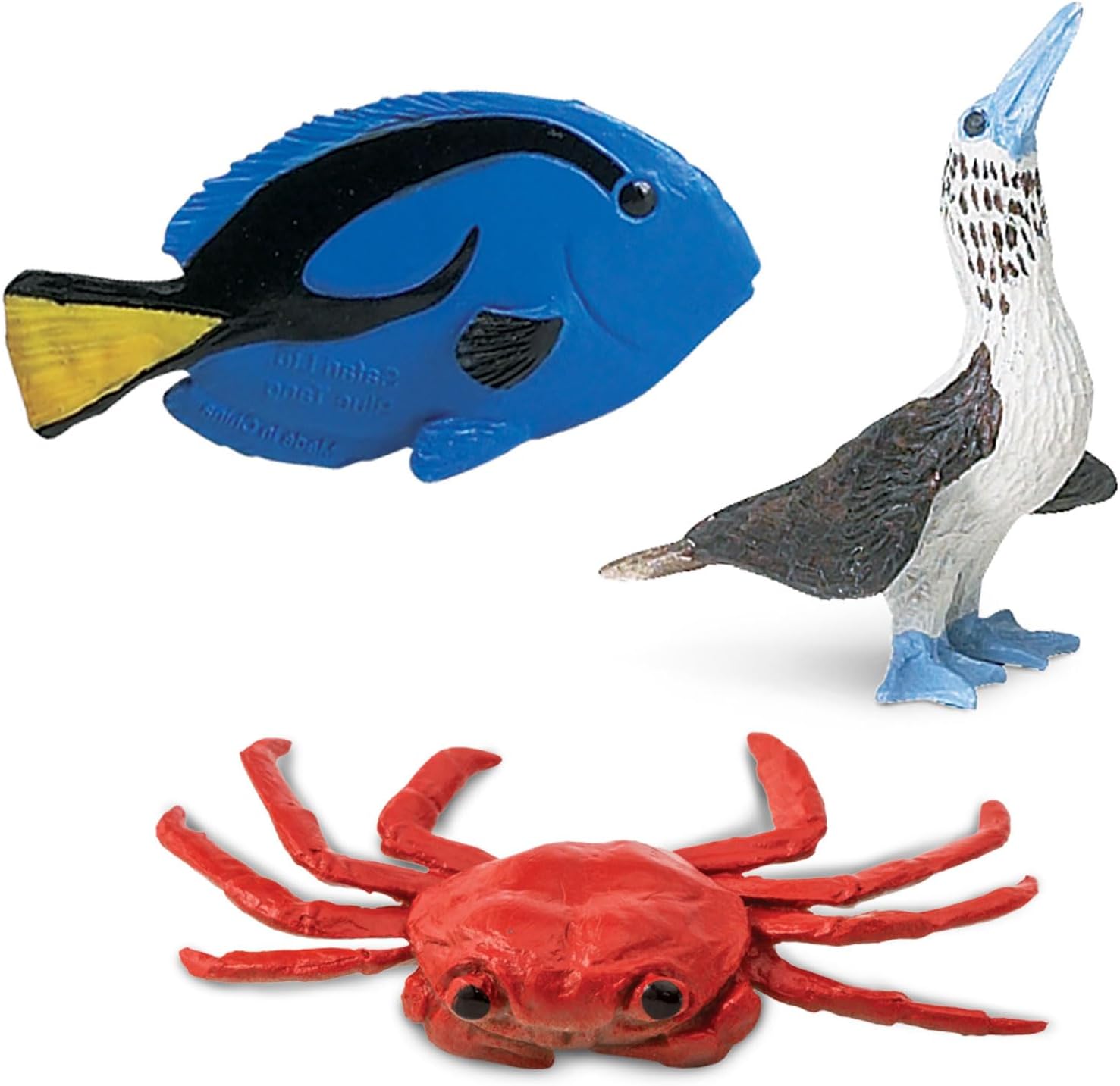 Safari Ltd. Pacific TOOB - 10 Miniature Marine Animal Figures - Educational Toy Set for Boys, Girls, and Kids Ages 3+
