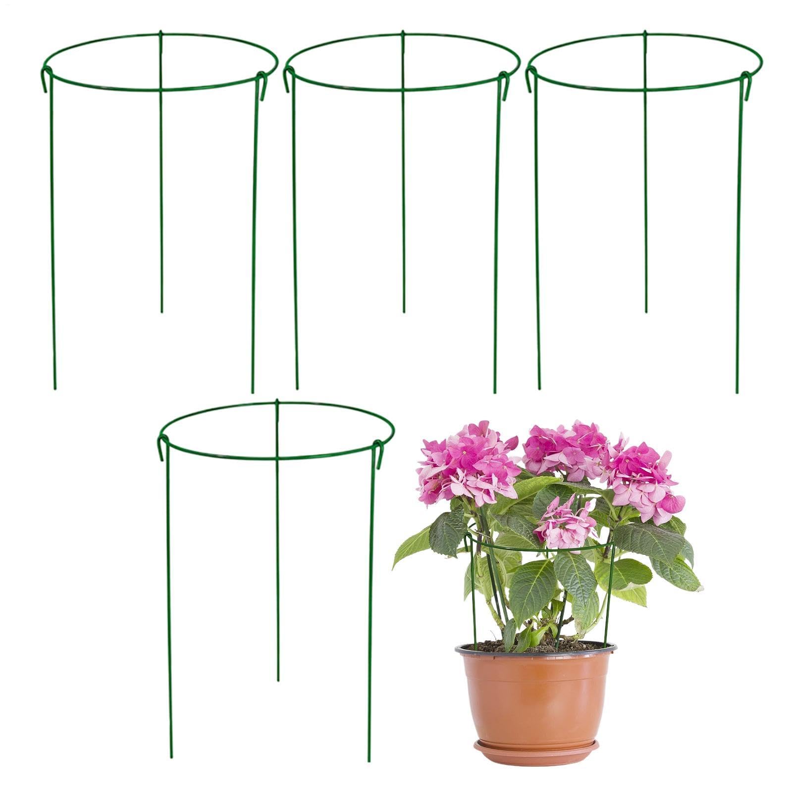 Anneaux à trois pieds Generico pour plantes et orchidées - Lot de 4