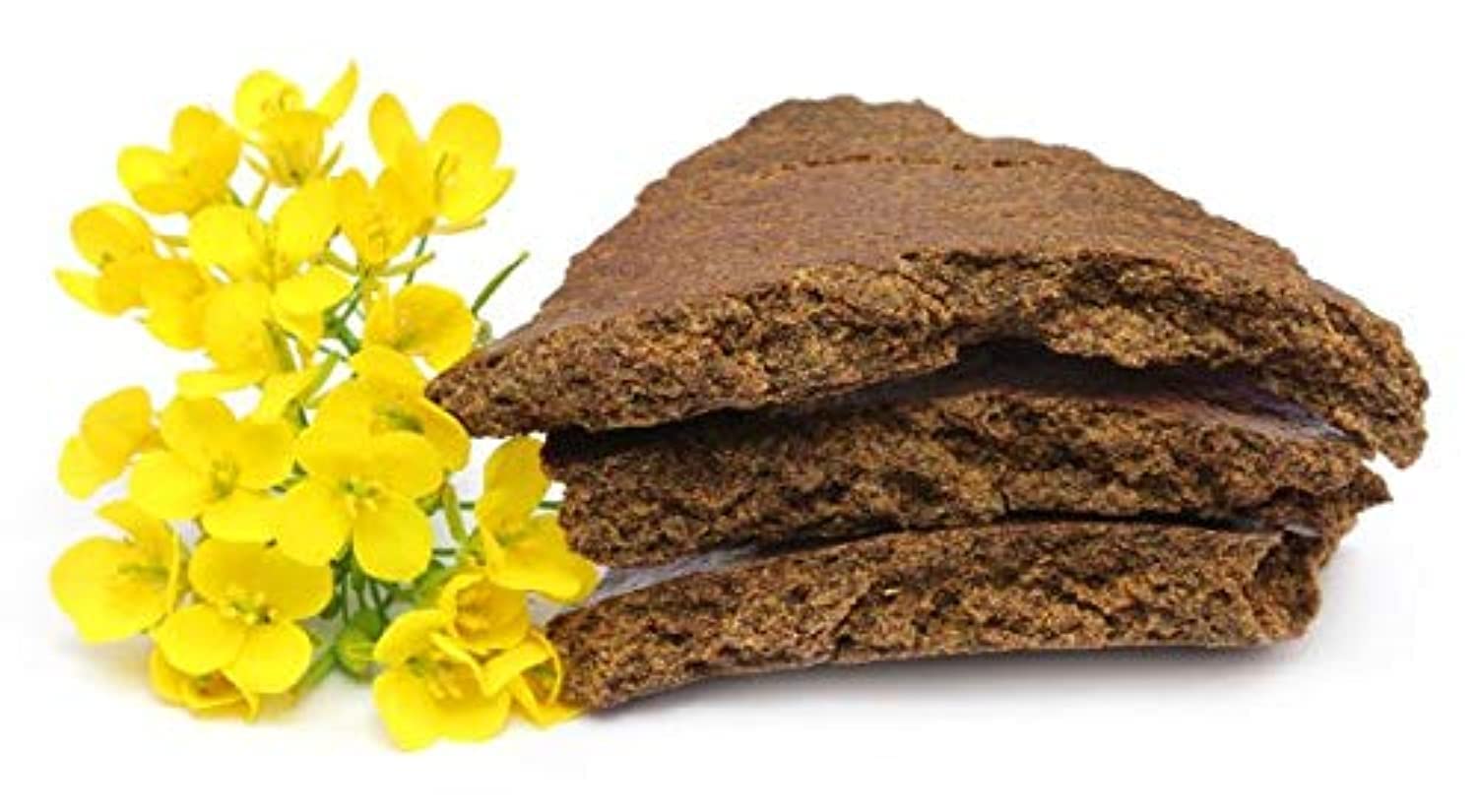 EXTRA GROWTH Mustard Cake Premium Grade A Quality for All Kinds of Plants 2 kg (B08X2PNR9J) Amazon Price History, Amazon Price Tracker