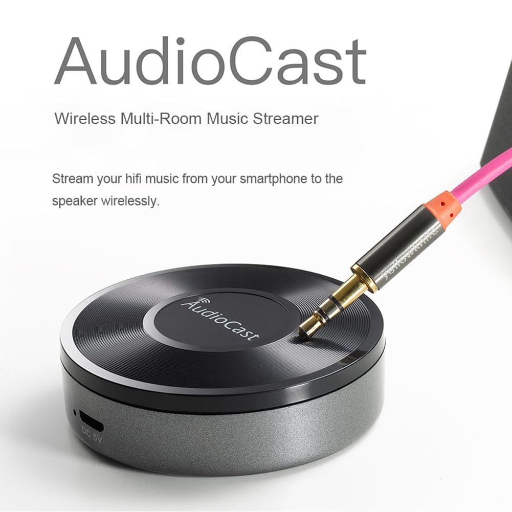 Malloy Odbiornik audio bez WiFi do strumieniowego przesyłania muzyki Audiocast Ieast Play M5 DLNA do wielopokojowego adaptera audio Airplay, łatwy w użyciu i