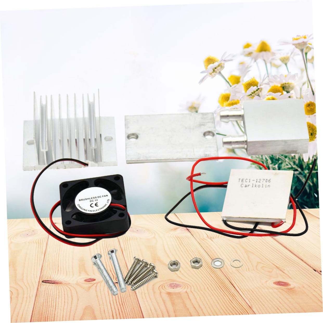 Módulo Peltier Termoeléctrico Tec1-12706 60w, Sistema
