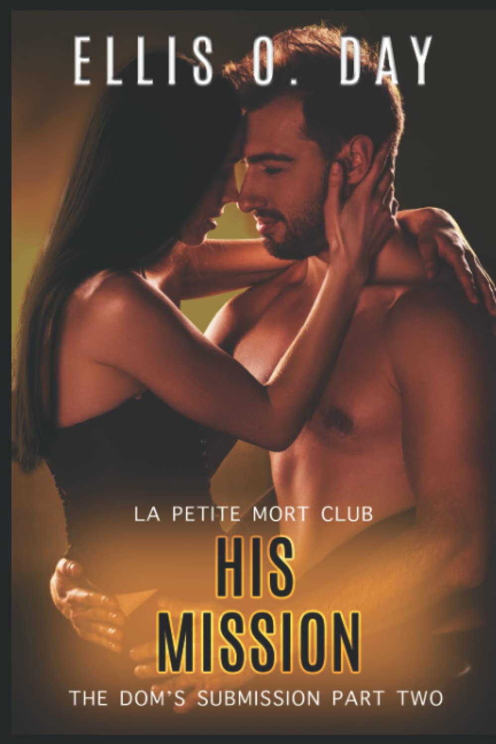 His Mission: An alpha male, BDSM, steamy, erotic romance (The Dom's Submission)