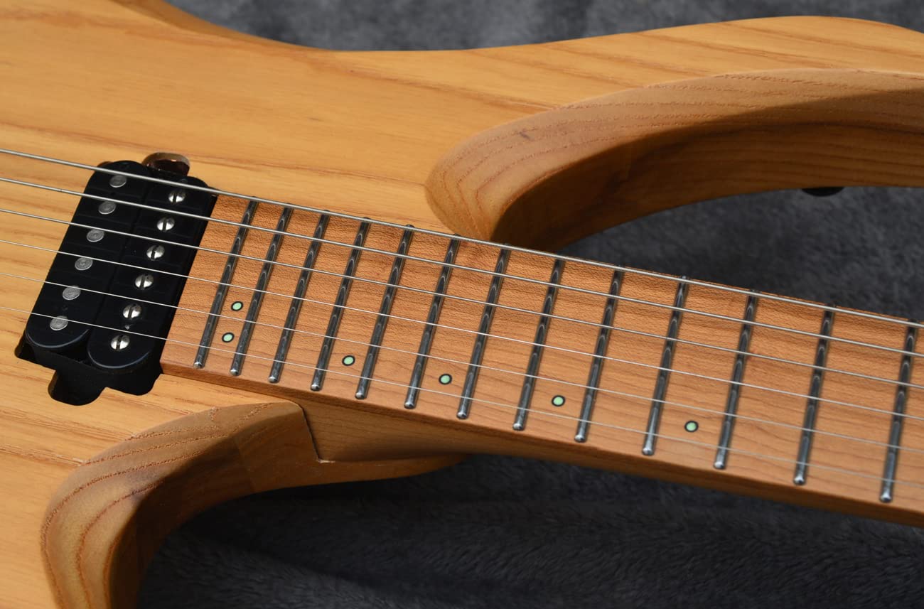 Amazon.com: 2023 NK Fanned frets 6 Strings Headless Electric