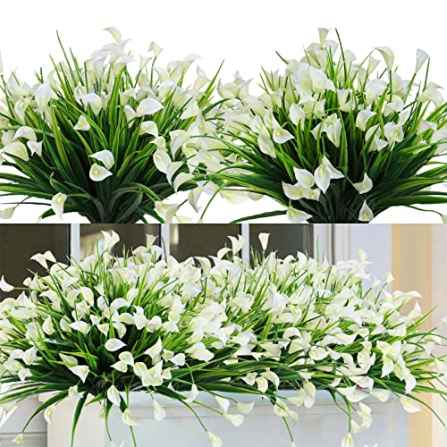 monstera deliciosa half moon Monstera Deliciosa 'White Monster' (wk22-UZ) *Half Moons* – Rare Plant Fairy main image 0