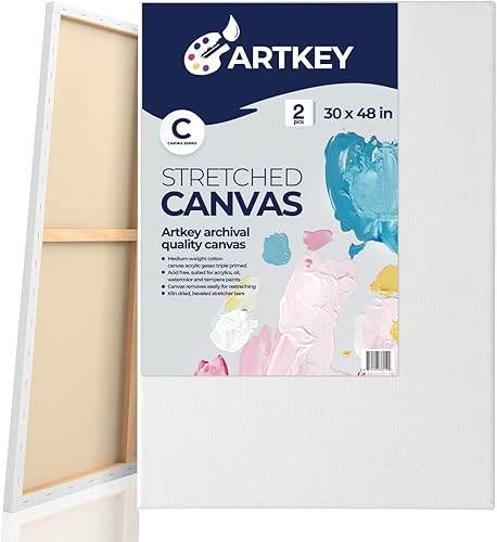 Miniatura 53 de Lienzos estirados para pintar de 24 x 36 pulgadas, paquete de 2, 12.3 onzas, triple imprimado sin ácidos, 100% algodón, lienzos grandes para pintura