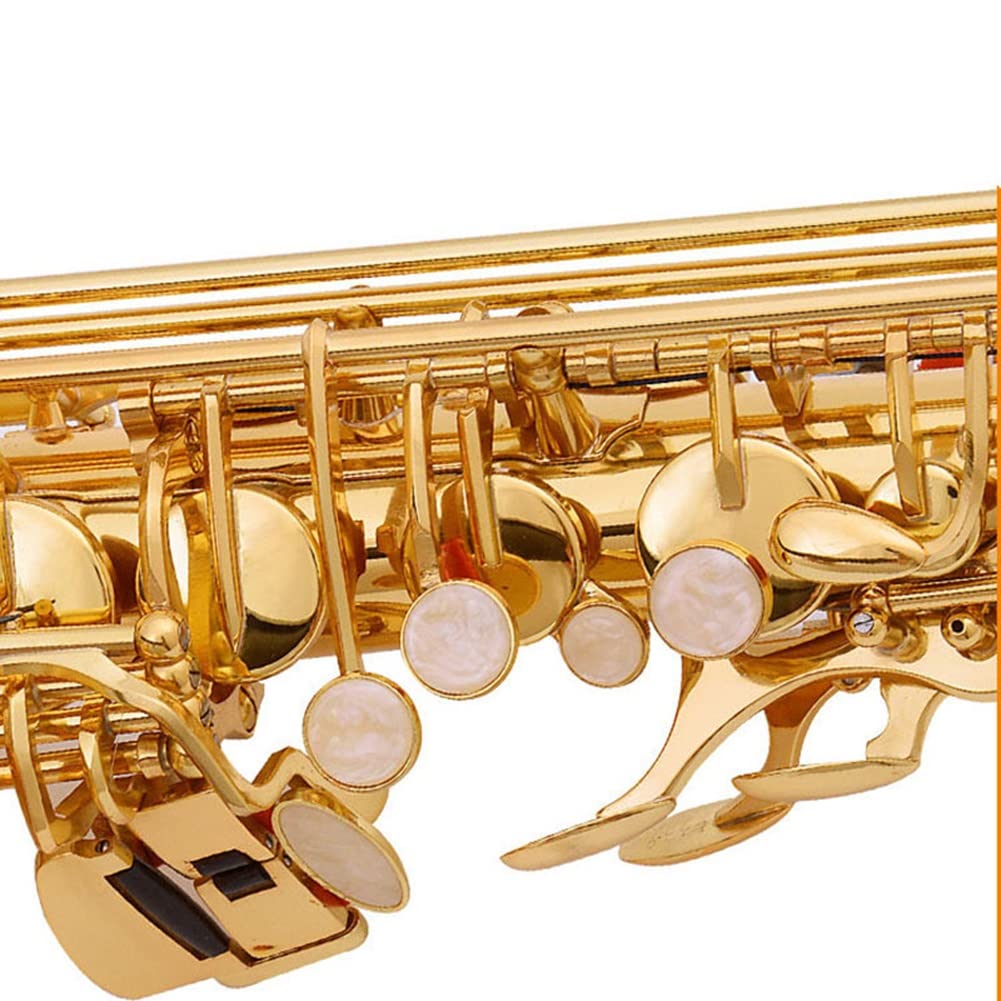 Sassofono Contralto, Ottone Laccato Oro Mi bemolle Sax per Principianti Sax Kit Completo con Custodia per Il Trasporto Guanti Panno per la Pulizia Spazzola Cinghie per Sax Ance