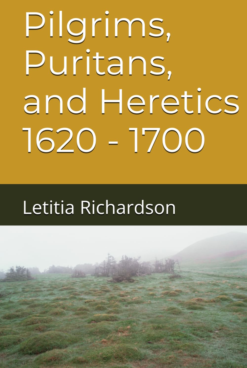 Pilgrims, Puritans, and Heretics 1620 - 1700