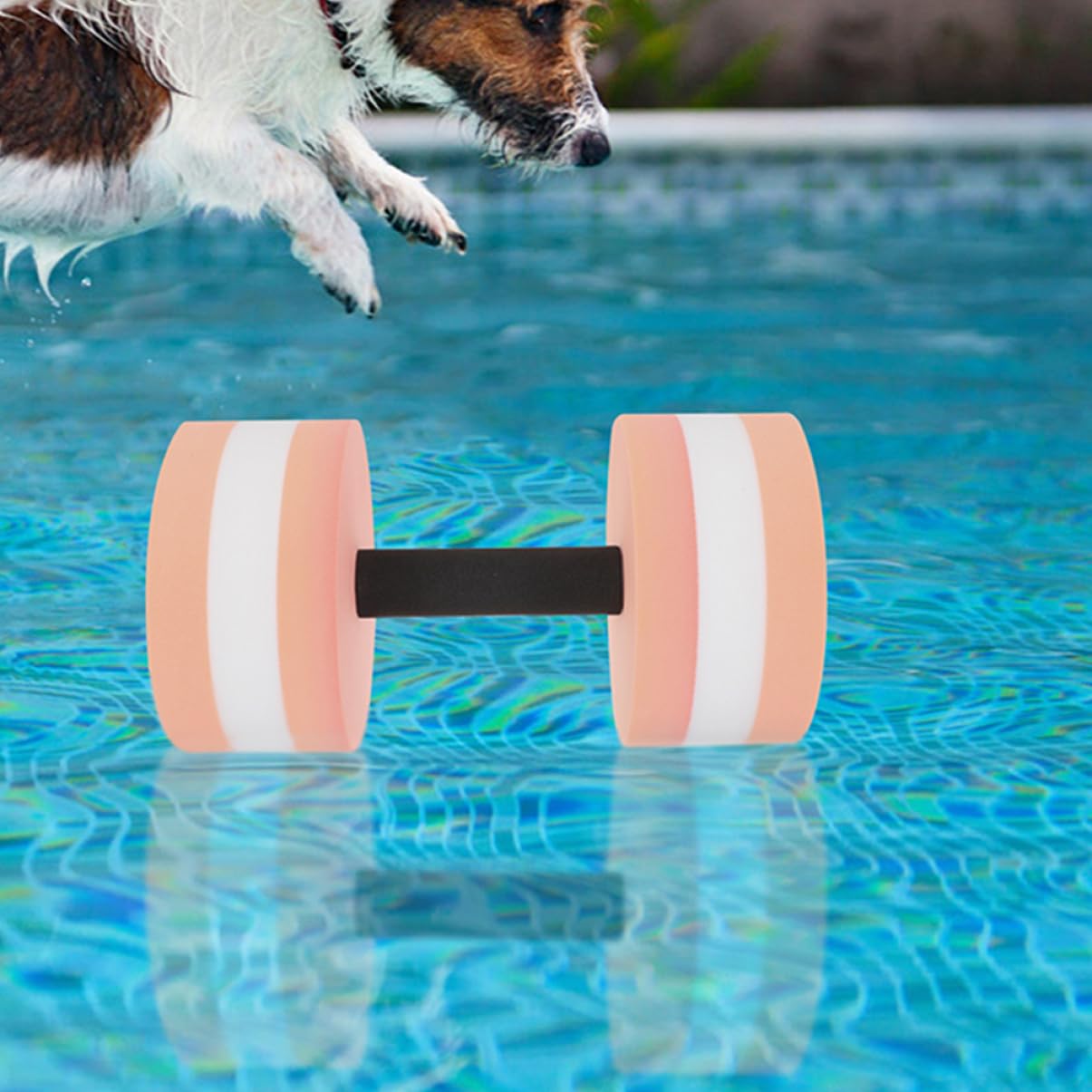 Wasserhanteln 4 Stück Eva Leicht Achteckig Widerstandsfähig Pool Fitnessgeräte Für Wassergymnastik Erwachsene Aquatraining