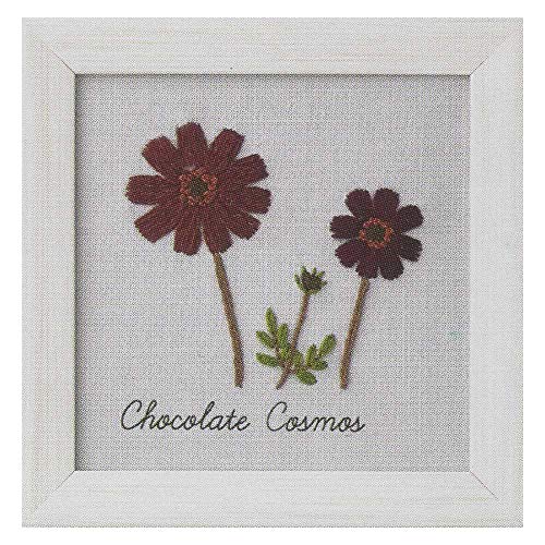 LECIEN 刺しゅうキット 青木和子12か月の植物手帖 -チョコレートコスモス Chocolate Cosmos- 約11.7×11.7cm 0000542011