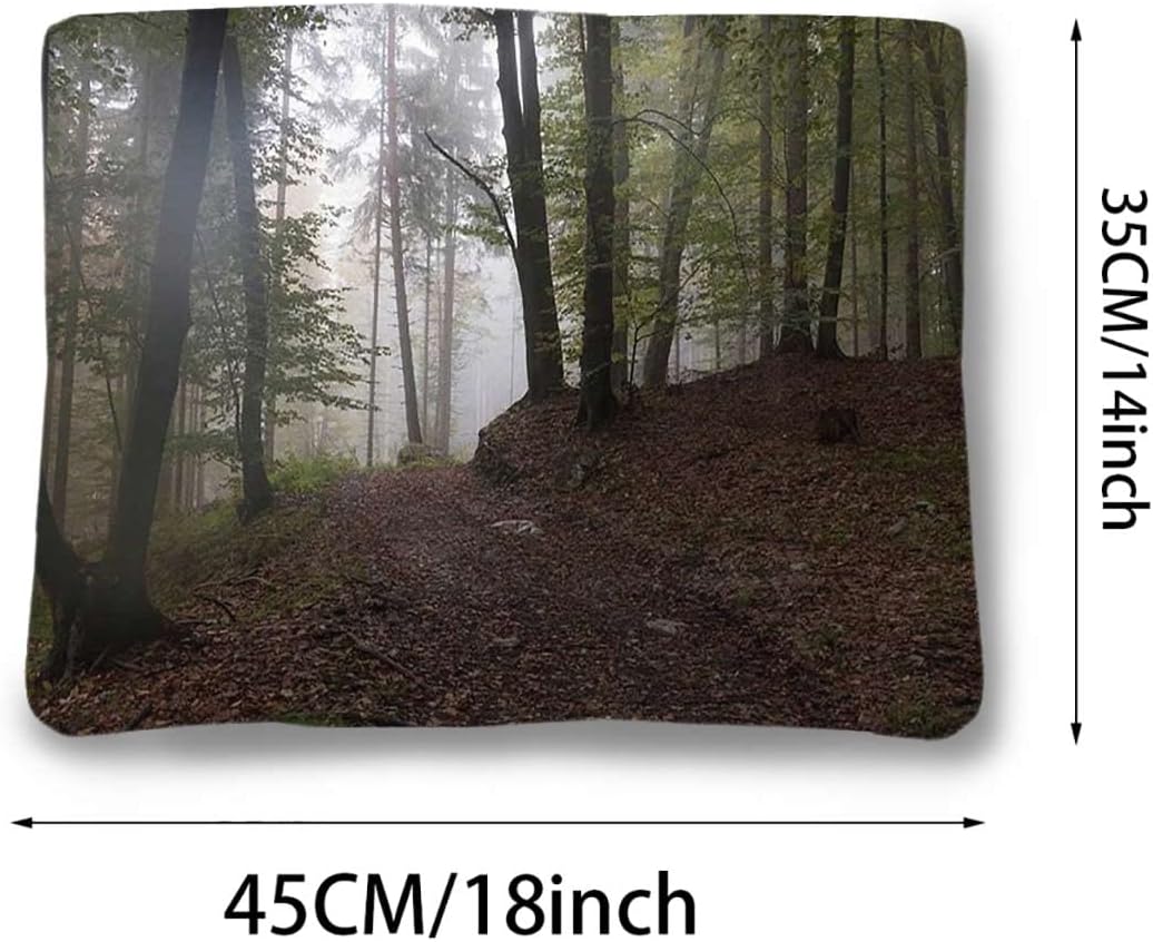 review Brown Green Fluffy Fleece Cat Dog Bed Blanket Forest Mysterious Woods Fog Puppy Dog Blanket Pet Blanket Small Dog Indoor Cat Kitten Nature Themed 14