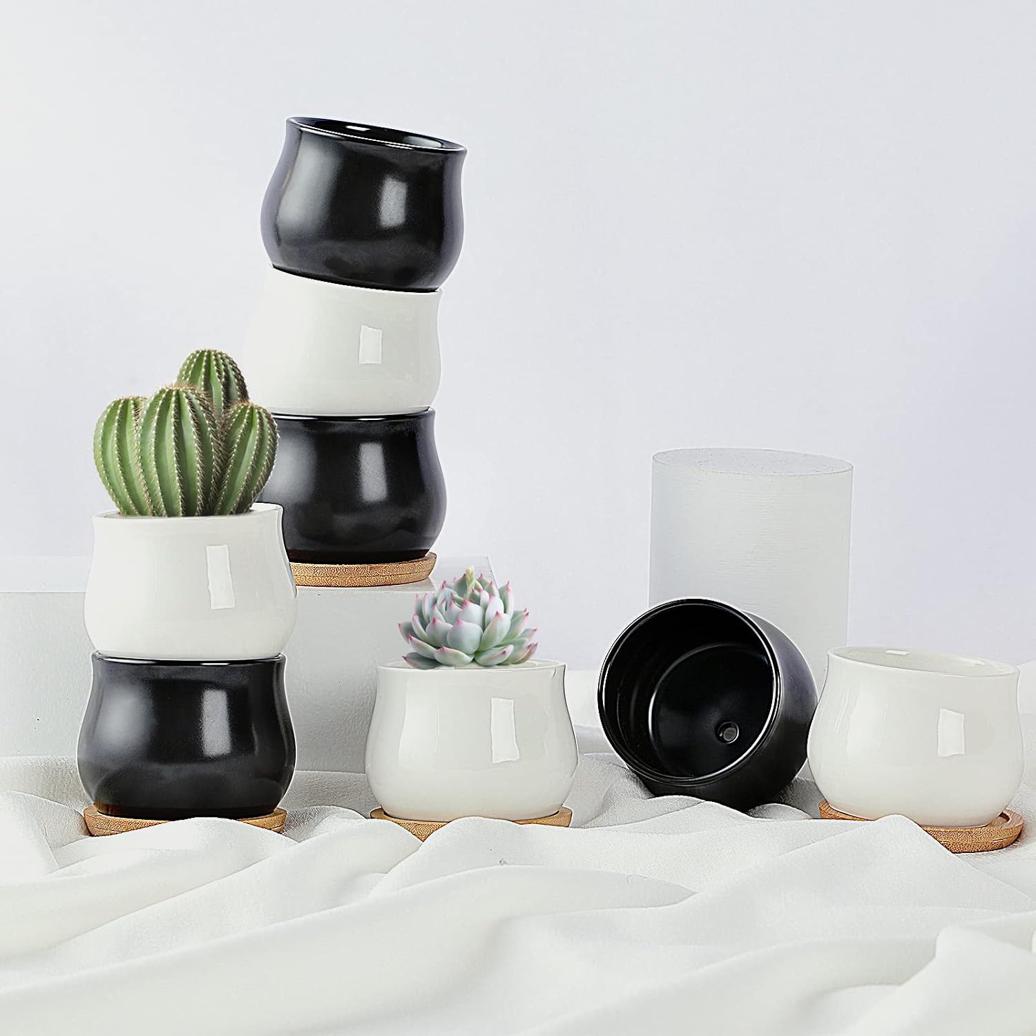 SHECIPIN 12 Pack Succulent Plant Pot, Mini 2.6 inch Ceramic Flower Planter Pot with Bamboo Tray, Small Pots for Plants, Plants Not Included （White, Black）