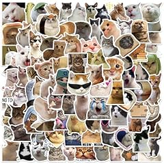 100 Cats