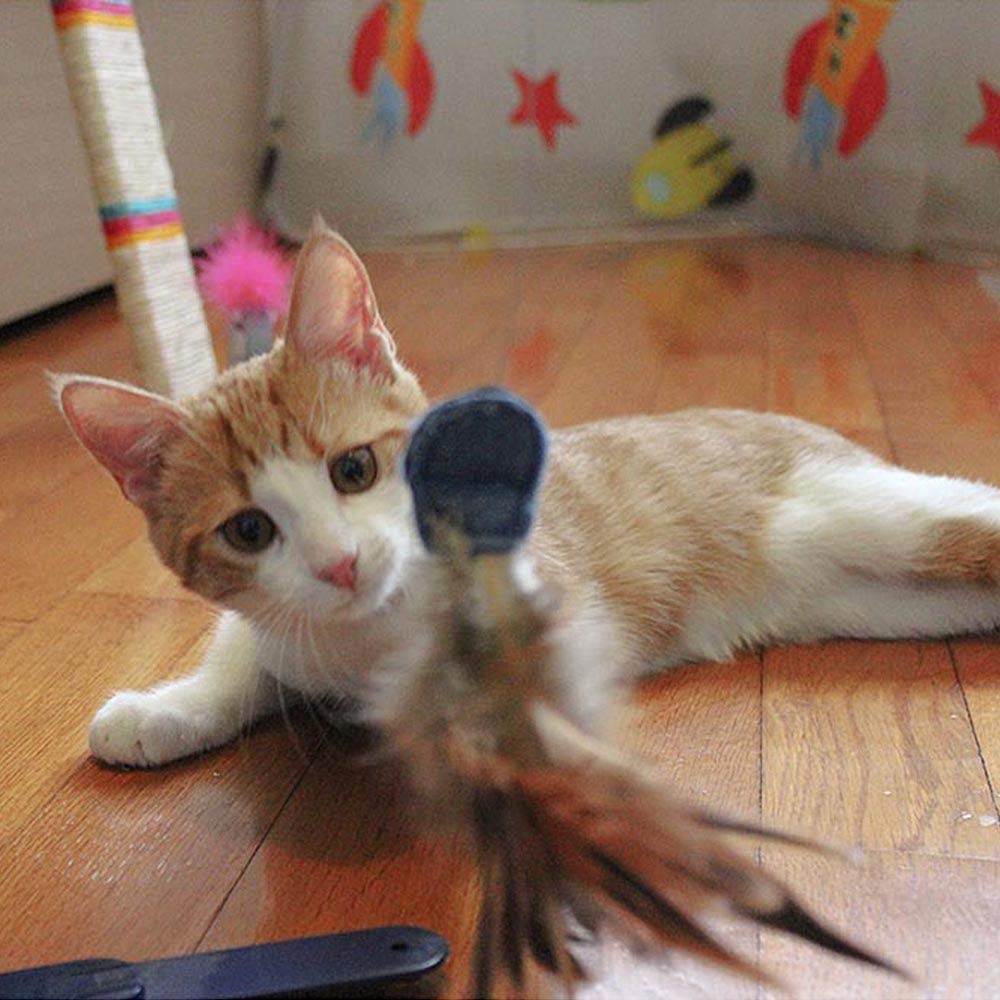 Ferplast Gioco per Gatti RAPTOR, Gioco Gatto Elettronico ed Automatico, Giocattolo Interattivo con Varie Velocità, Ø 48 x 34 cm