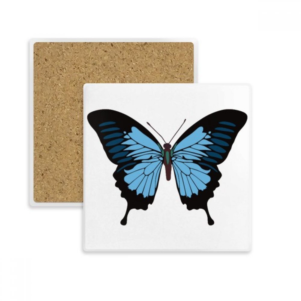 Tasse et verre sans taches grâce au dessous de verre papillon bleu