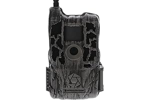 Reactor Trail Camera: Stealthy Surveillance Redefined