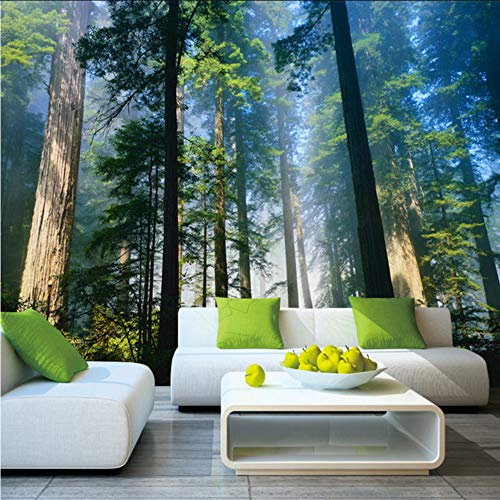 Dalxsh 5D Murals Forests Wallpaper Nature Fog Trees 3D Wall Photo Mural Forest Wall Paper for Background Bedroom 3D Wall Murals-350X250Cm
