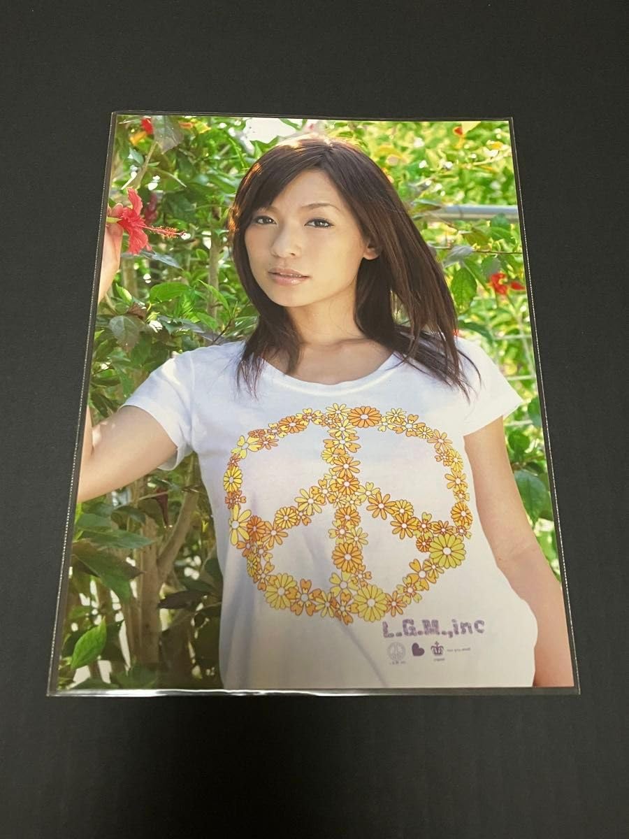 IP PLATINUM GIRLS COLLECTION 2010 写真集&色紙 IP PLATINUM GIRLS COLLECTION 2010 写真集&色紙