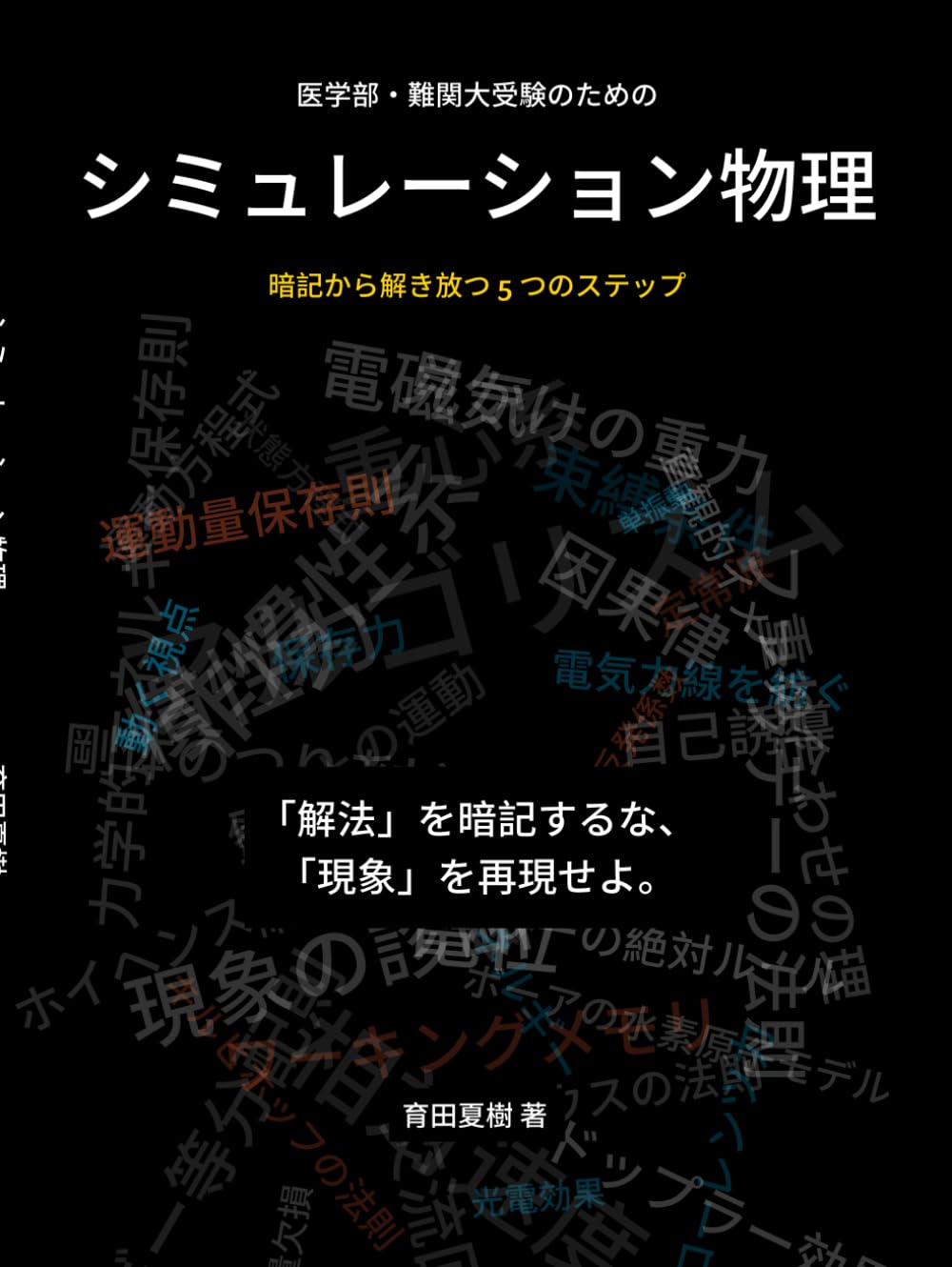 医学部・難関大受験のための シミュレーション物理: 暗記から解き放つ 5 つのステップ