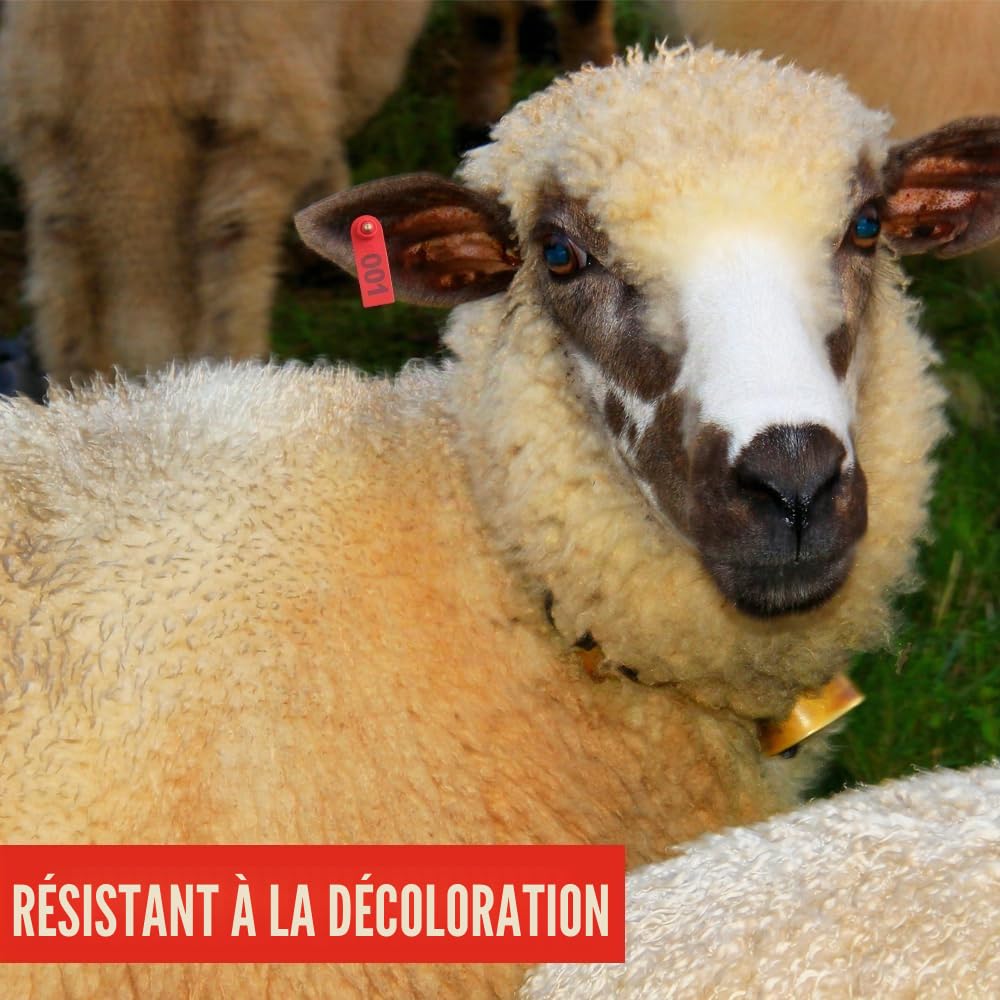 WMYCONGCONG Etiquette d'oreille en plastique numéro 1 à 100 pour bétail et 1 applicateur d'étiquette d'oreille pour chèvre et mouton