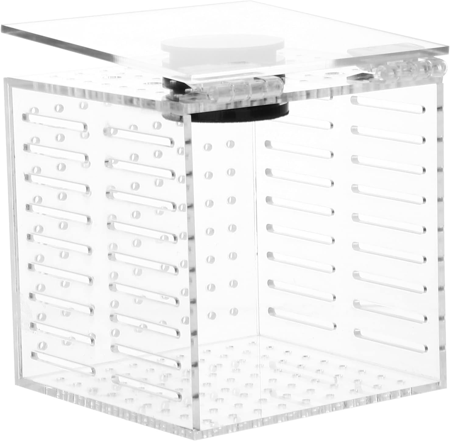 Aquarium Hatchery Fish Breeding Box Acrylic Fish Isolation