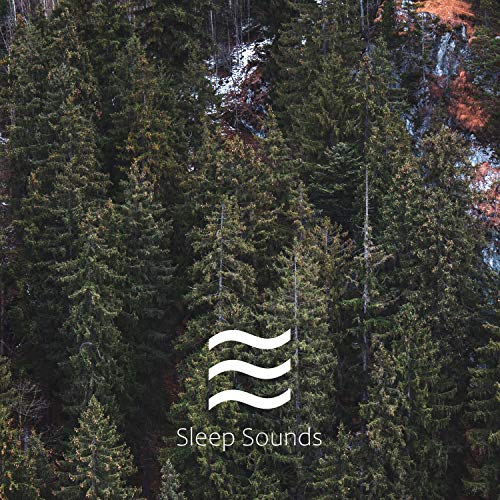 Sonidos de bosque y lluvia Sonidos de bosque y lluvia